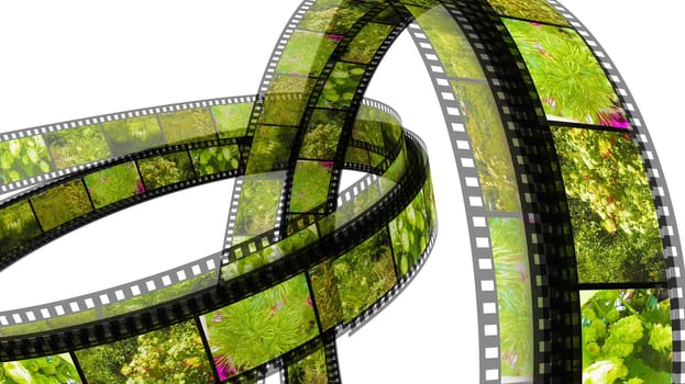 Two 3d films rings over white background filled by pictures of nature