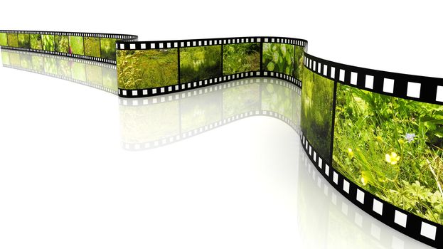 3d blank film on white backgroung filled by pictures of nature