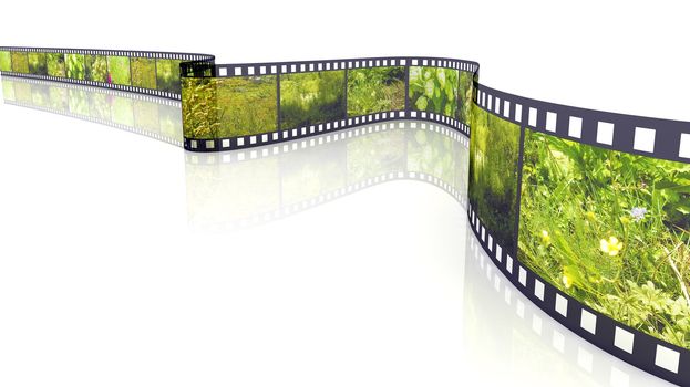 3d blank film on white backgroung filled by pictures of nature