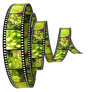 3d film Segment rolled forward filled by pictures of nature