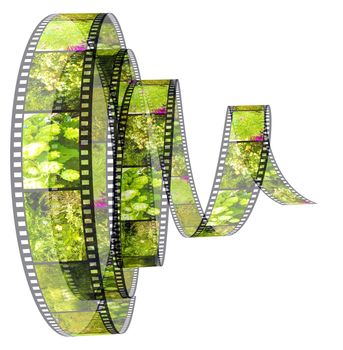 3d film Segment rolled forward filled by pictures of nature