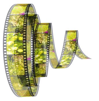 3d film Segment rolled forward filled by pictures of nature