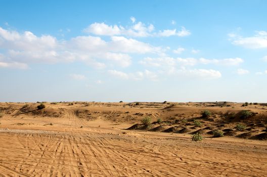 Dubai Arabic Desert, Dubai, United Arab Emirates