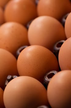 this pictureis the row of egg