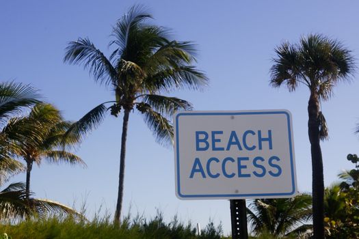 Palm tree and beach access sign