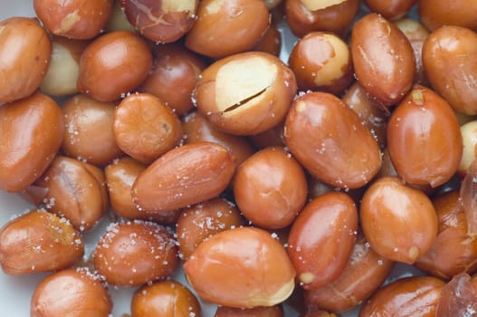 group of groundnut background