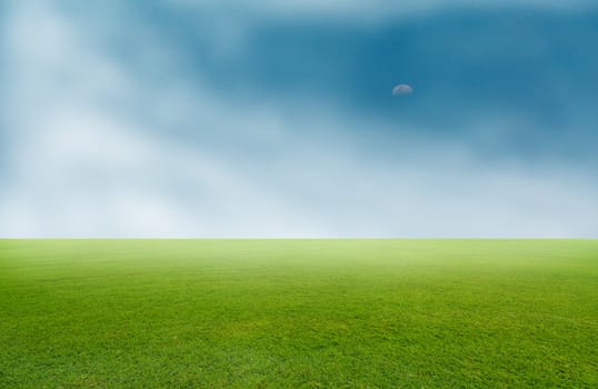 fog sea in the green field