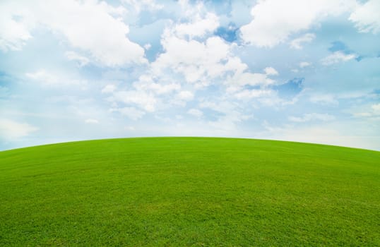green field under the blud sky