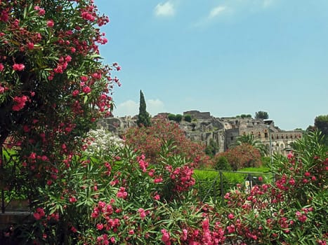 Beautiful mediterranean landscape with blossoming plants in spring