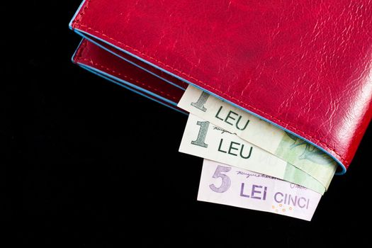 Italian leather wallet with Romanian money, useful for concepts