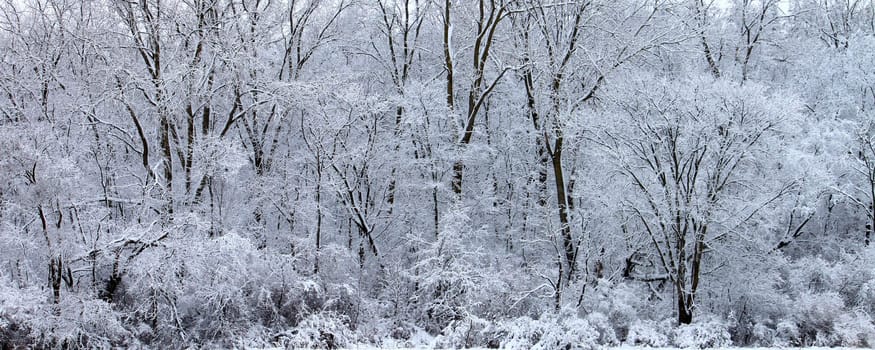 A winter wonderland at Rock Cut State Park in Illinois.