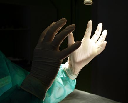 Surgeon holding up hands in protective gloves photo