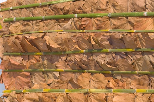 brown dry leaves background