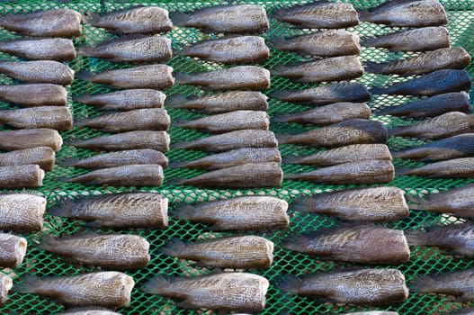 dry fish bacbground