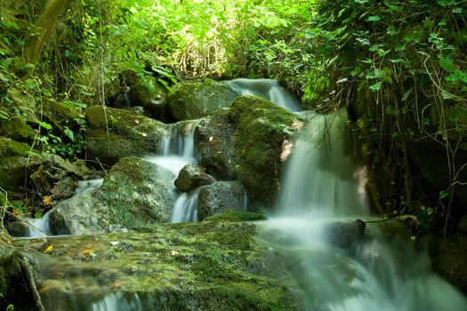 beautiful waterfall on small forest stream