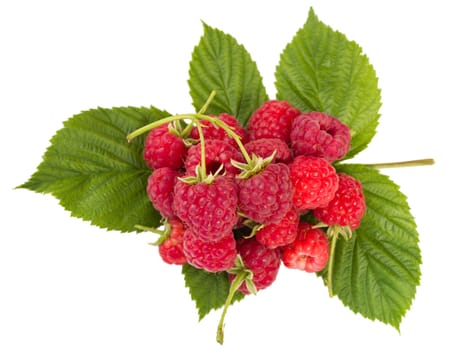 heap of ripe raspberries with leaves, isolated on white