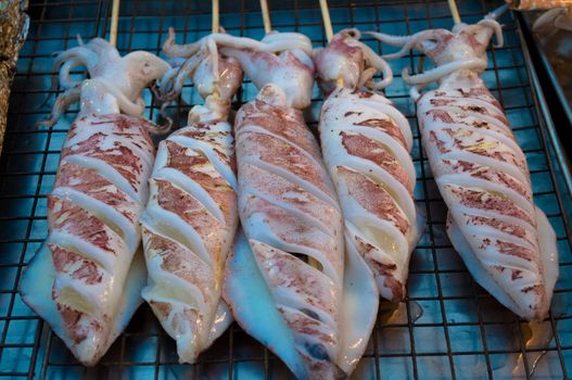 the squid roasts