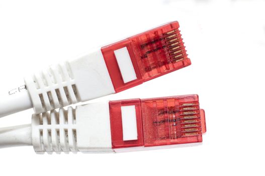 an image of computer network cable on white background