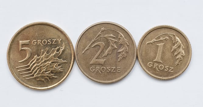 an image of coins of polish currency zloty