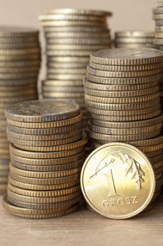 an image of coins of polish currency zloty