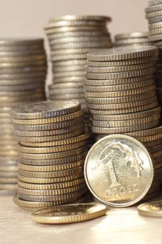 an image of coins of polish currency zloty