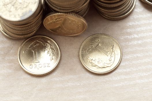 an image of coins of polish currency zloty