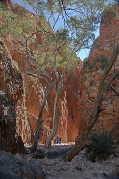 stanley chasm next to alice springs in the australian outabck