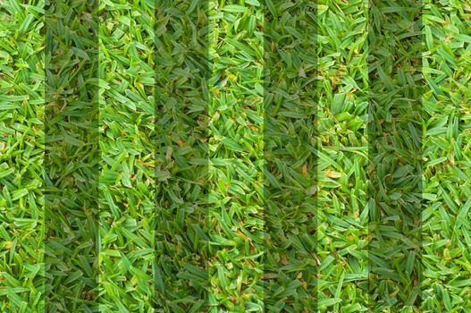 note book on green grass 
