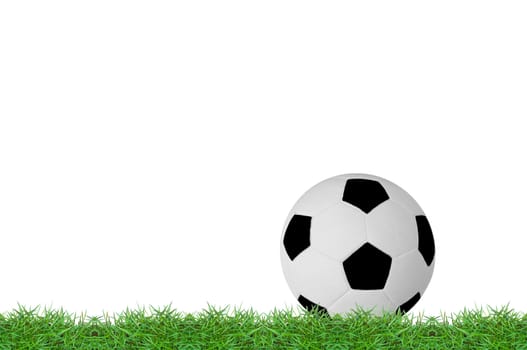 isolated football on green grass