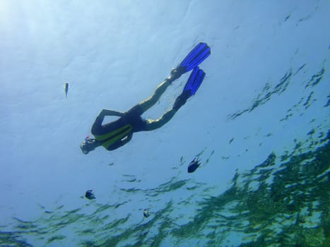 Snorkler, Red sea, Sharm El Sheikh, Egypt.
