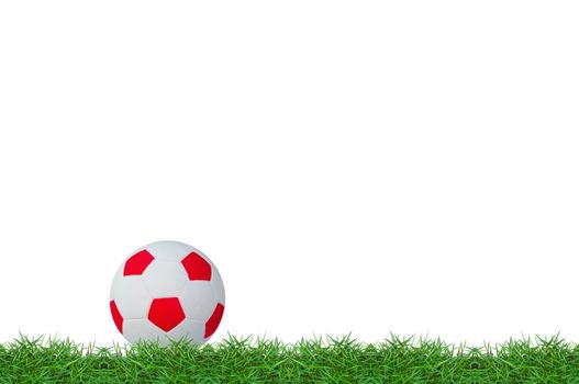 isolated football on green grass