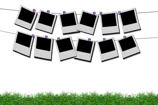 isolated sign board in green grass frame