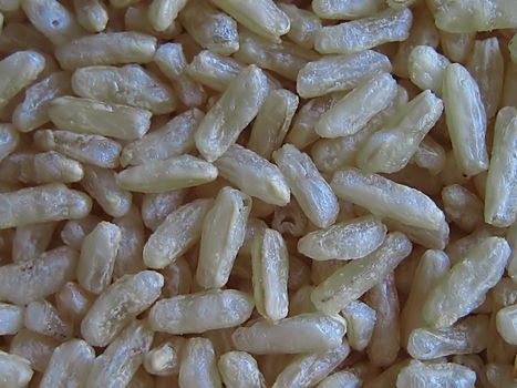 A photograph of uncooked brown rice detailing its texture.