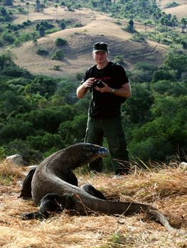 The tourist and dragon. The tourist photographs a dragon of island Komodo. Indonesia.