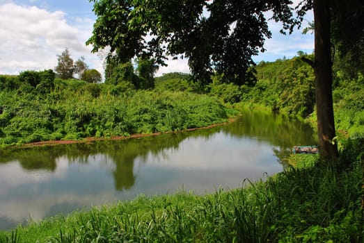 river in the forest,Hua Hin Thailand