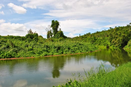 river in the forest,Hua Hin Thailand