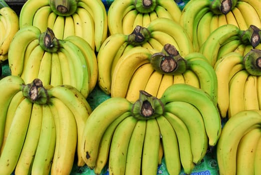 grpup of banana