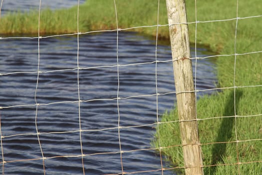 Wooden fence post supporting a square wire fence with water and green grass behind.