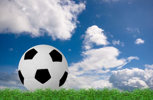 football on green grass under the blue sky