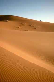 People at the dunes of the Moroccan Sahara