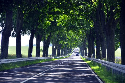 an image of highway