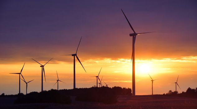 Wind turbines during beautiful sunset