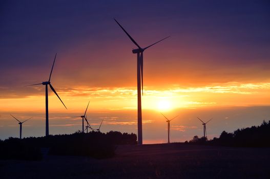 Wind turbines during beautiful sunset