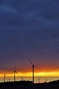 Wind turbines during beautiful sunset