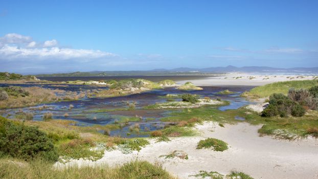 Hermanus Lagoon,
Western Cape, South Africa