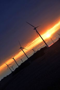 Wind turbines during beautiful sunset