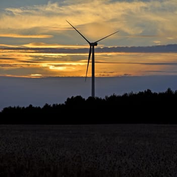 Wind turbine farm over sunset