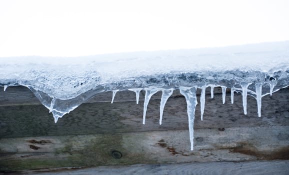 an image of small icicle 