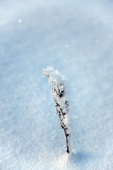 an image of winter scenery