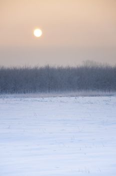 an image of winter scenery